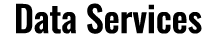 Data Services Logo